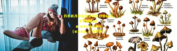 дурь Абдулино