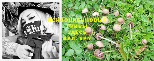 прущая мука Абинск